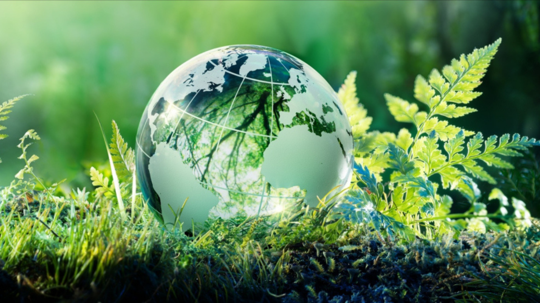 Glass globe placed among plant life. Image used to illustrate blog post on World Earth Day.
