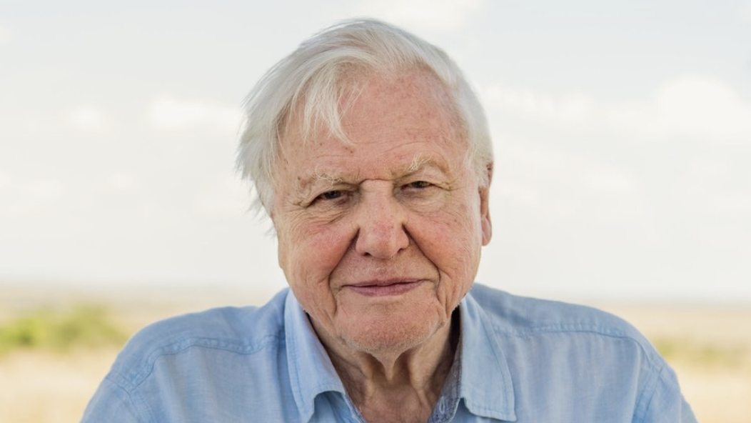 Image of Sir David Attenborough
